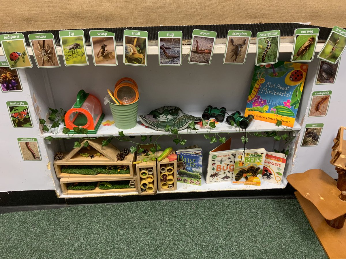 Look at our investigation area this week. <a href="/Halsneadschool/">Halsnead Primary School</a>