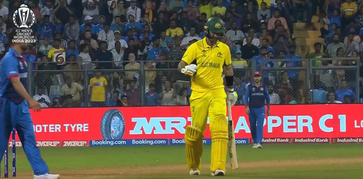 #Maxwell with the new AI  feature 😉