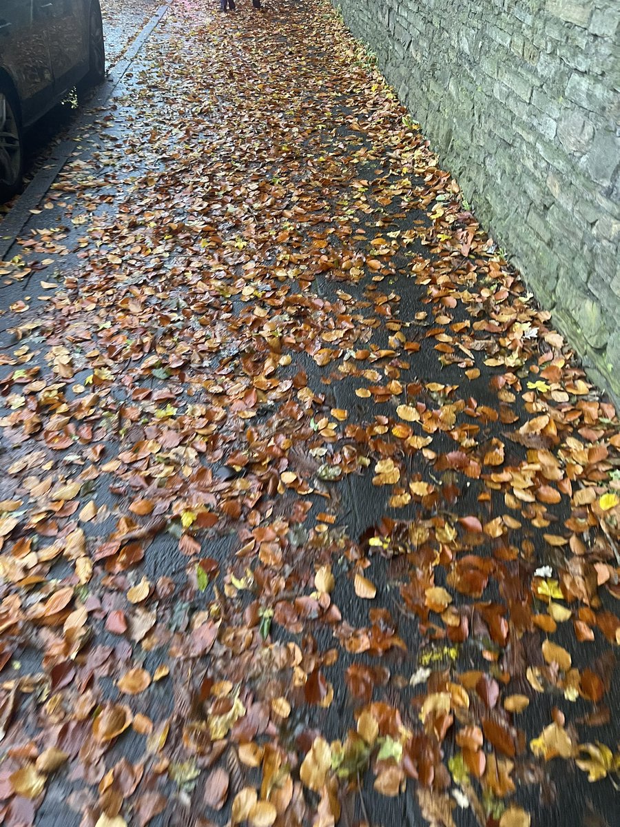 Hi <a href="/bradfordmdc/">Bradford Council</a>, any chance we can get the leaves cleaned up on Squire lane BD8. Main walking route to a school therefore a slip hazard. Thanks