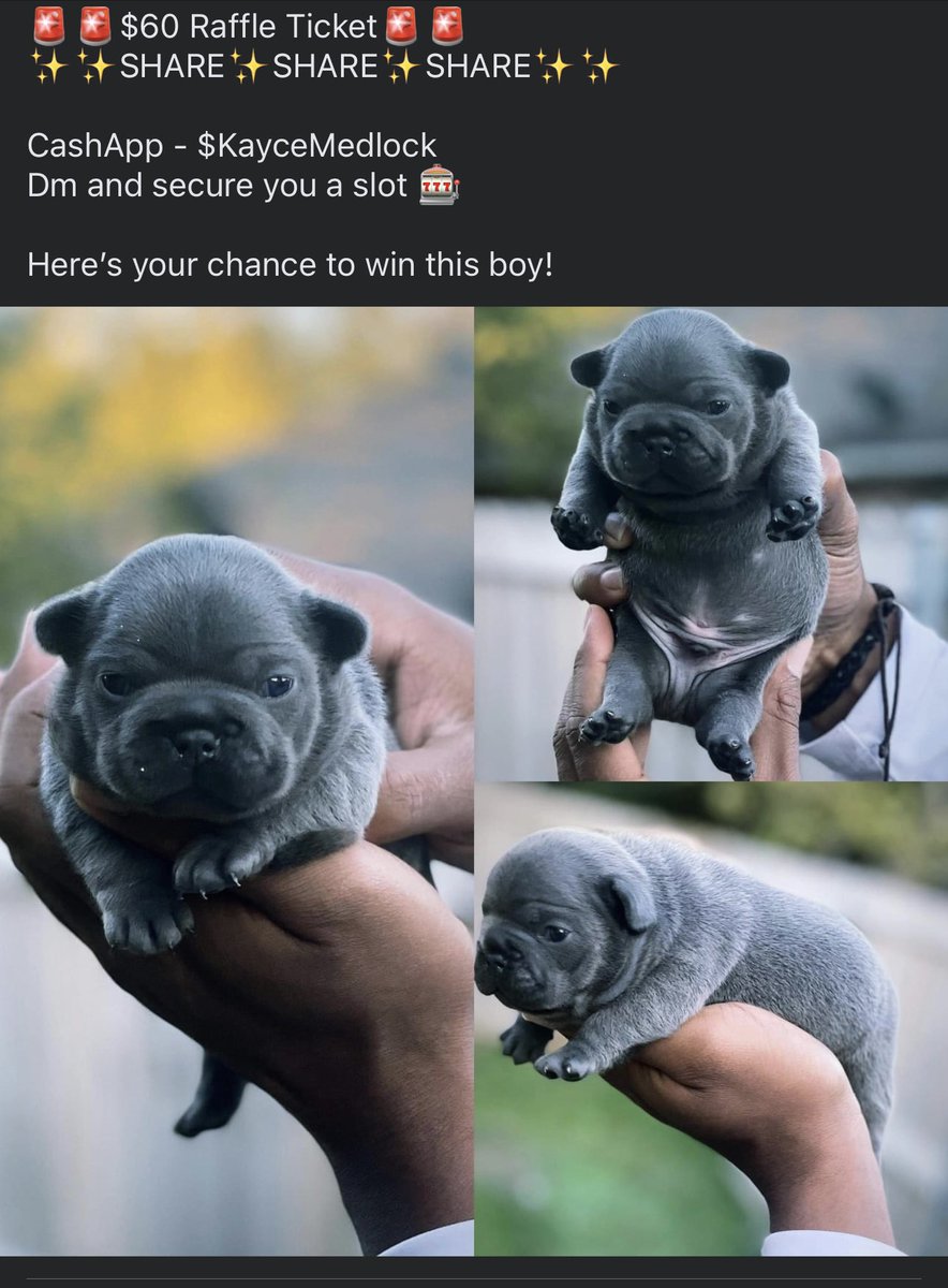 Bleezy Ru😈 tweet media