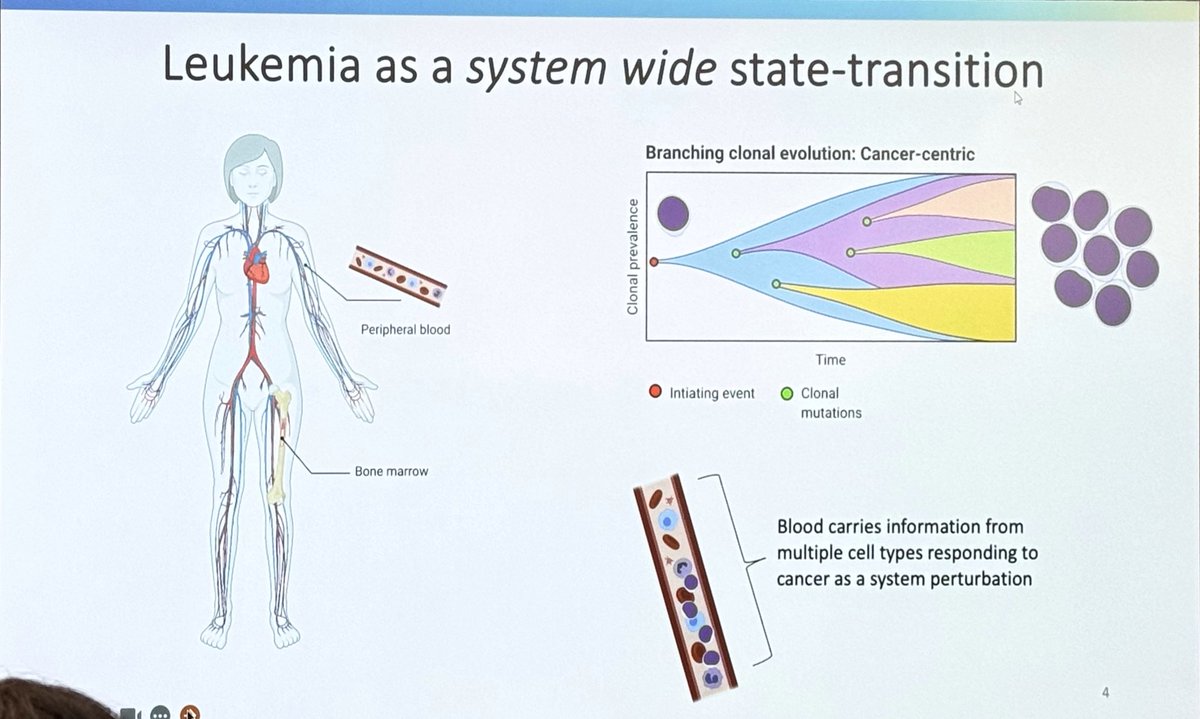 ara_anderson's tweet photo. Next it’s friend and collaborator @rrockne presenting, Uncovering the Transcriptional Landscape of CML Development and Therapeutic Interventions via State-Transition Modeling #CSBCPSON23 https://t.co/JHLEHFVXHE
