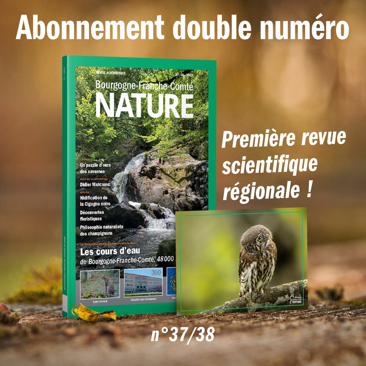 Bourgogne-Franche-Comté Nature tweet media