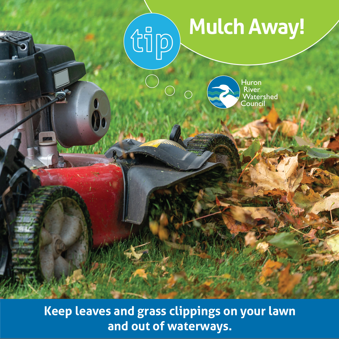 Fall brings colorful views. As trees shed their leaves, you can do your part to keep them from washing into waterways or from clogging storm drains by mowing and mulching.

Learn how you can prevent stormwater pollution in your yard on our Lawn Care page hrwc.org/take-action/at…
