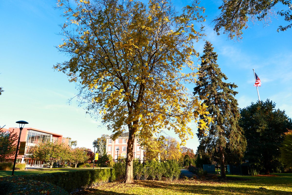 AdelphiU's tweet image. What a transformation! We love when our beautiful organic campus turns our school colors: brown and gold. What’s your favorite spot on our campus to enjoy fall? #MyAdelphi #TransformationTuesday