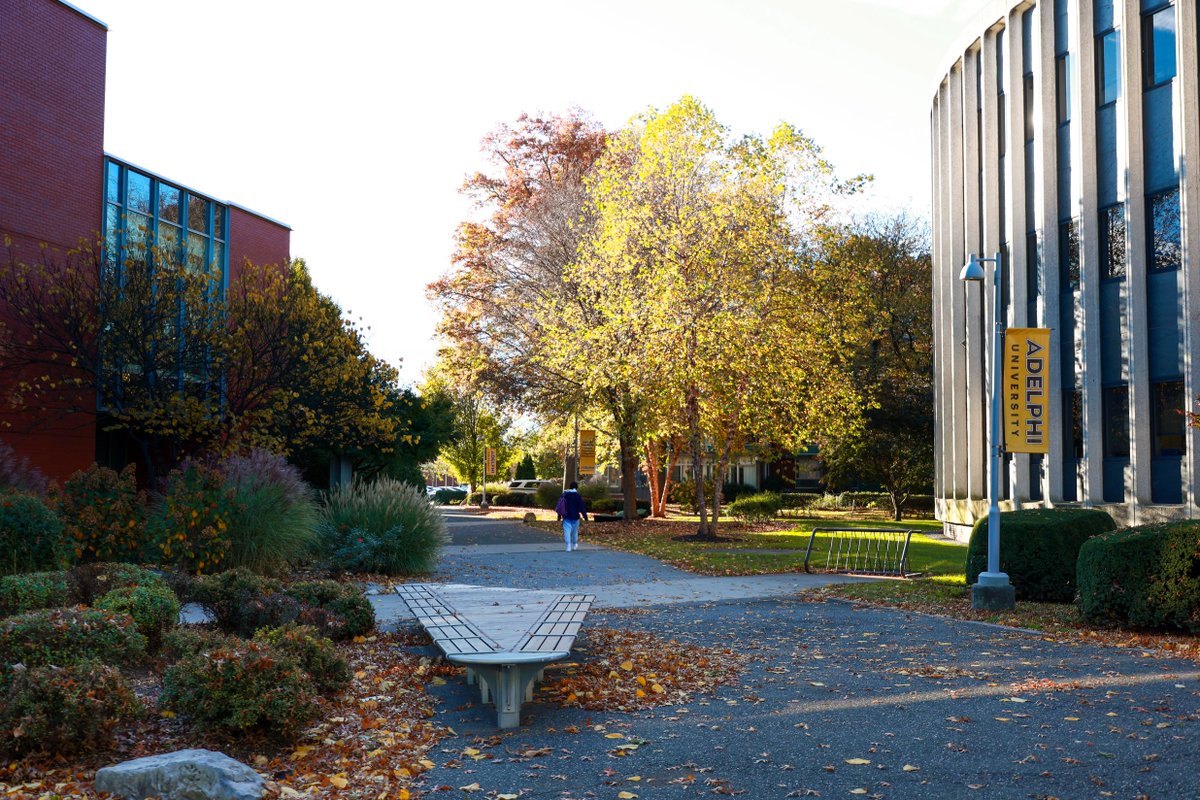 AdelphiU's tweet image. What a transformation! We love when our beautiful organic campus turns our school colors: brown and gold. What’s your favorite spot on our campus to enjoy fall? #MyAdelphi #TransformationTuesday