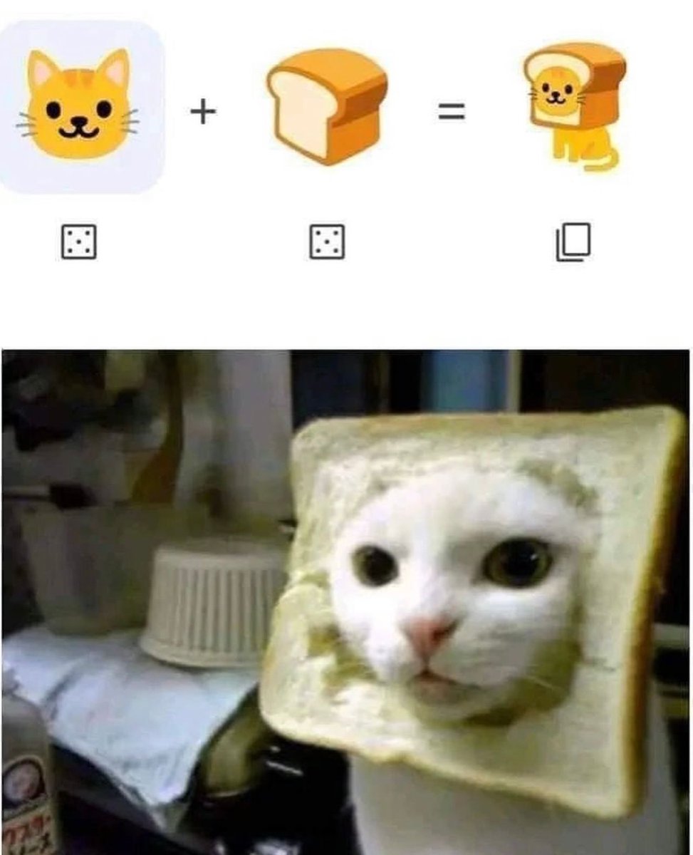 PostsOfCats's tweet photo. https://t.co/N3qxsPWq5i