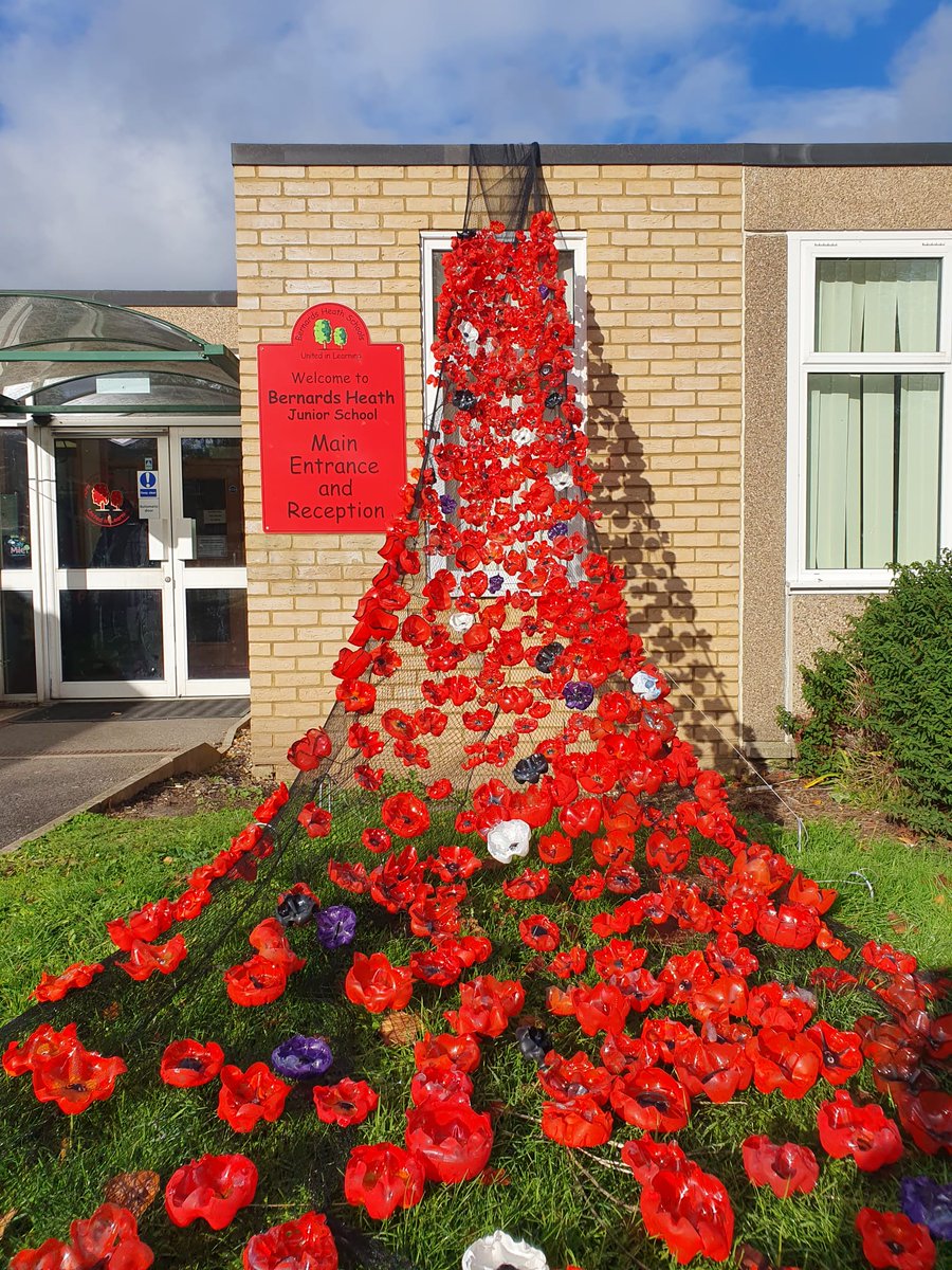 ArtBhjs's tweet photo. Our poppy installation has been added to by all members of Year 3. https://t.co/xUE9RKsN0l