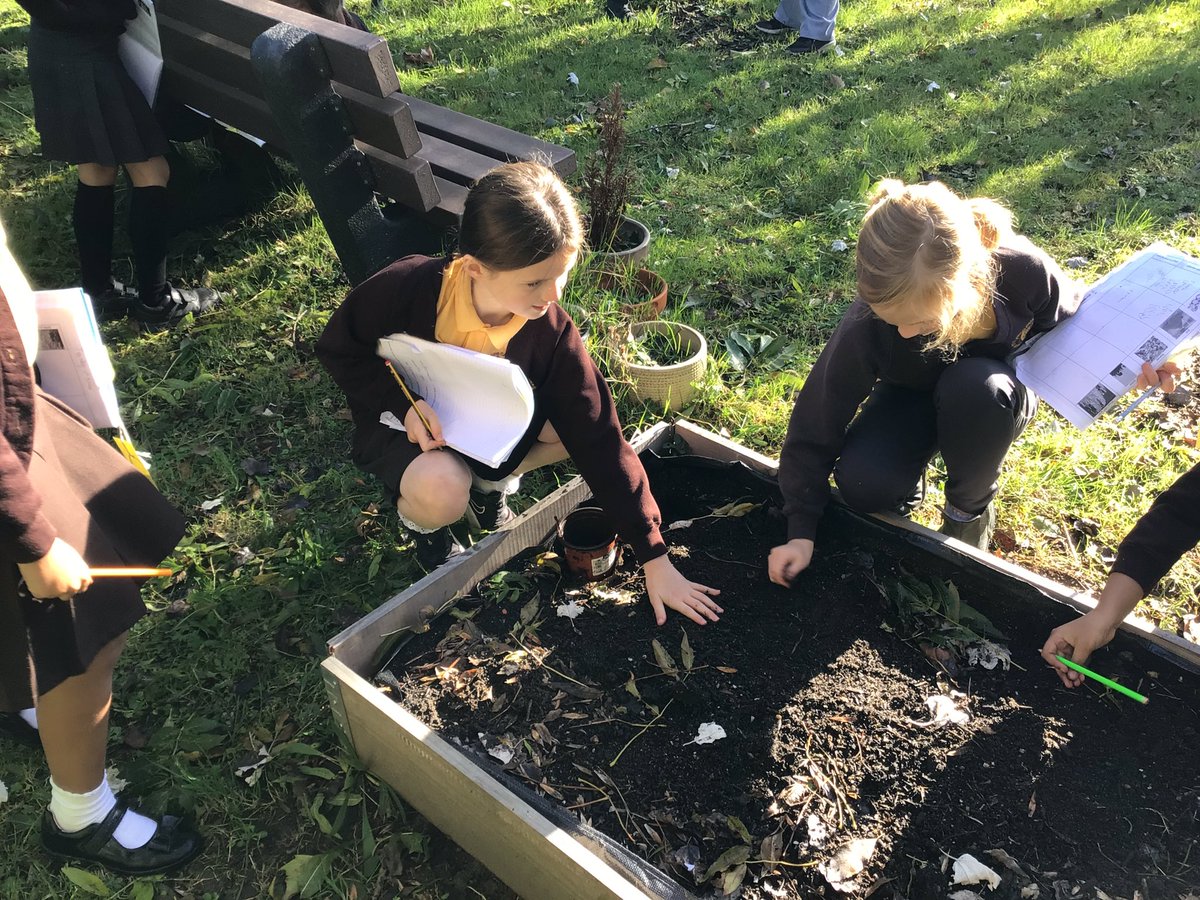 s_wilfrid's tweet photo. Holly Class enjoyed learning outside today in English by collecting excellent adjective and verbs to describe the setting of the Iron Man by Ted Hughes. 🌳 https://t.co/q9NxPh877K