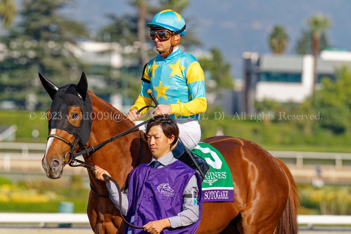 2023/11/4 #November42023
#BreedersCupClassic #LONGINES

2nd.  #DermaSotogake #デルマソトガケ
Jockey #ChristpheLemaire ( @christo68914587 )
Trainer #HidetakaOtonashi
Owner  #HiroyukiAsanuma
Breeder #ShadaiFarm 
#HorseRacing 
#BreedersCup
#horseracing