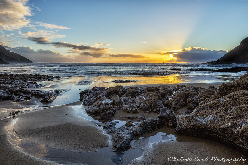 BelindaGreb's tweet image. Sun Setting at the Heceta Head Lighthouse Beach by Belinda Greb belinda-greb.pixels.com/featured/sun-s…
#photography