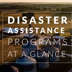 If a natural disaster has impacted your operation, we want to help you recover. This brochure contains an overview of our disaster assistance programs. bit.ly/3cP4p4w
