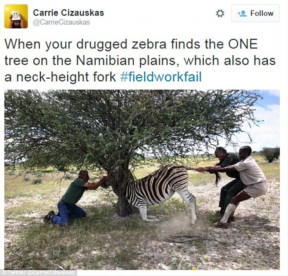 zeb_k6's tweet image. ROFL 🤣 
#fieldworkfail