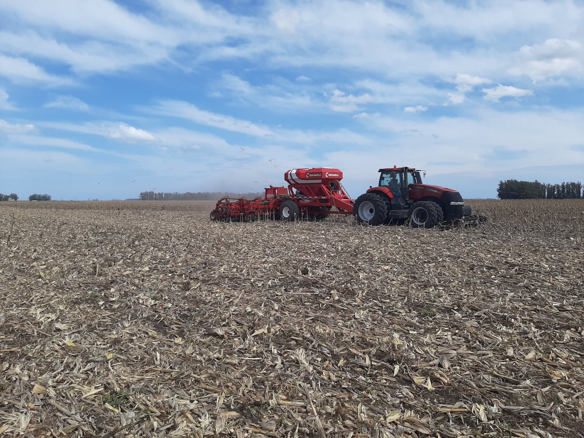 Aleferretti3's tweet photo. Se continua  con la siembra  de soja   , ADM 38e21 !!! Esperando la lluvia  de esta noche #campo @franschulzSL @facustella @Marianvillafan https://t.co/gDHtq8NSmp