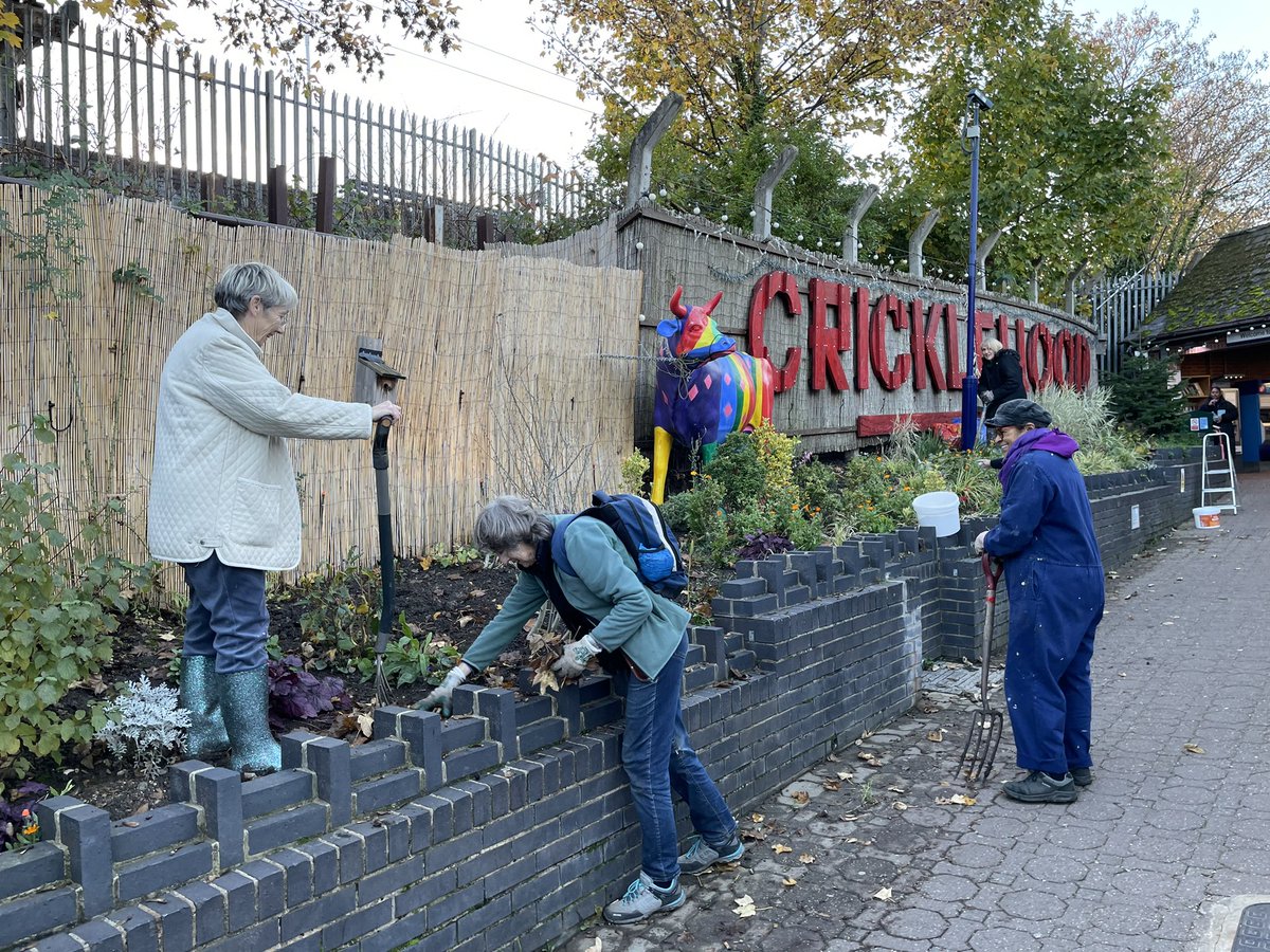 ❤️ Cricklewood volunteers gardening and sheep painting today.