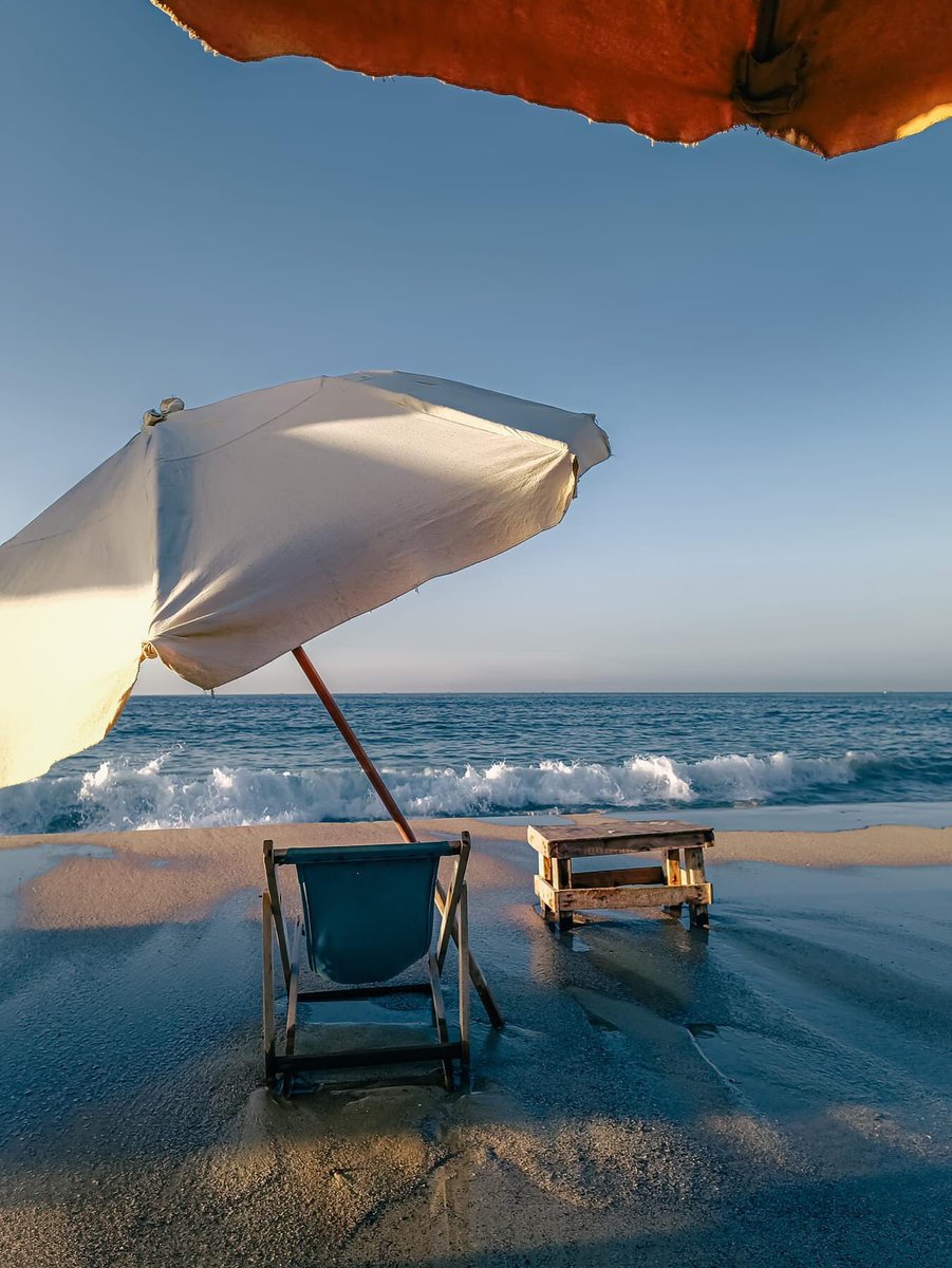 نوڤمبر - اسكندرية ٢٠٢٣