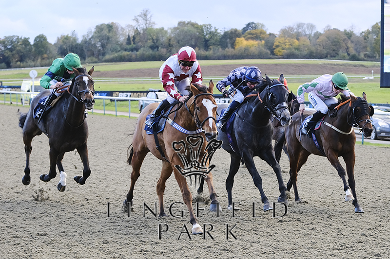 LingfieldPark's tweet photo. RACE 8 RESULT β BetUK. Home Of The Acca-Fenwa Handicap
π₯ Moorgate
Jockey: @johnegan1968
Trainer: Pat Murphy
π·: John Hoy
#LingfieldPark | #LINWAR https://t.co/zPbBFglVSF