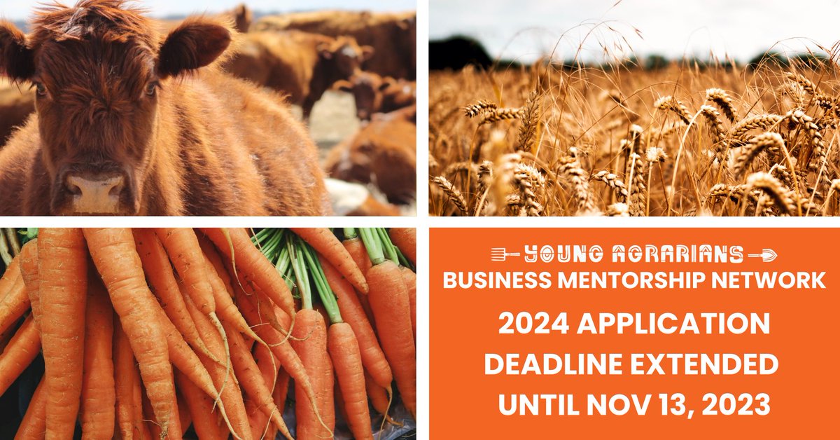 Are you looking for guidance on growing your farm business? The <a href="/YoungAgrarians/">Young Agrarians</a> Business Mentorship Network is accepting applications until November 13th, 2023! Learn more and apply here: youngagrarians.org/business-mento…
#bmn #youngagrarians