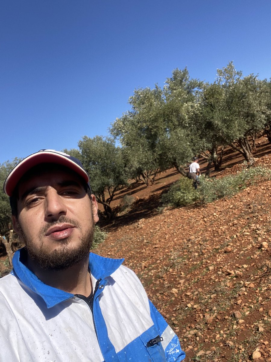 Arbi Merini (@arbimerini59854) on Twitter photo 