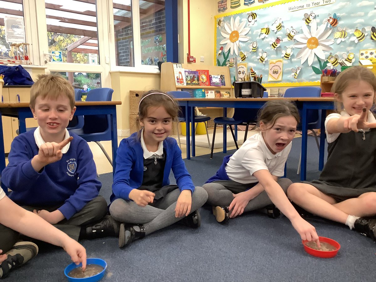 StMarysSchoolRC's tweet photo. Scientific experiments in Year Two today . We made discoveries about hygiene .#smrcscience https://t.co/QO2d7Lyrdw