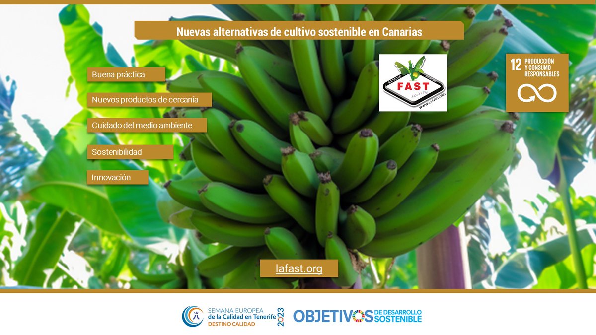 CalidadTenerife's tweet photo. #PanelODS Nuevas alternativas de cultivo sostenible en Canarias.
🟨 #ODS 12.
✅ @La_Fast
#SEC2023 #CalidadParaElFuturo
🔗 https://t.co/tkxoVt33sX https://t.co/z9LZq1nxmS