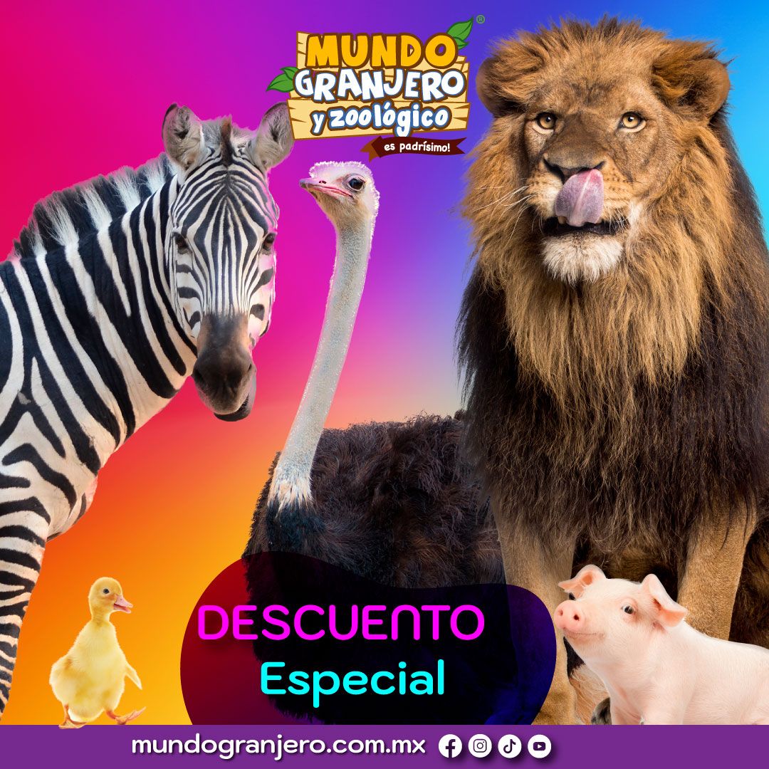 Conoce de cerca a tigres, leones, cebras y más en Mundo Granjero y Zoológico.Compra tus boletos online en el siguiente enlace con DESCUENTO especial.
BOLETOS AQUÍ 📷 bit.ly/3LX32SR