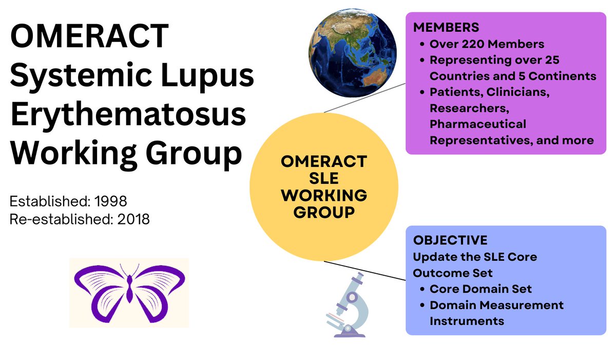 OMERACT-SLE (@omeract_sle) on Twitter photo 