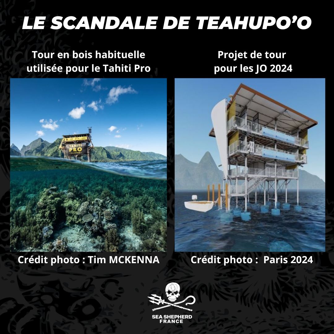 Sea Shepherd France tweet media