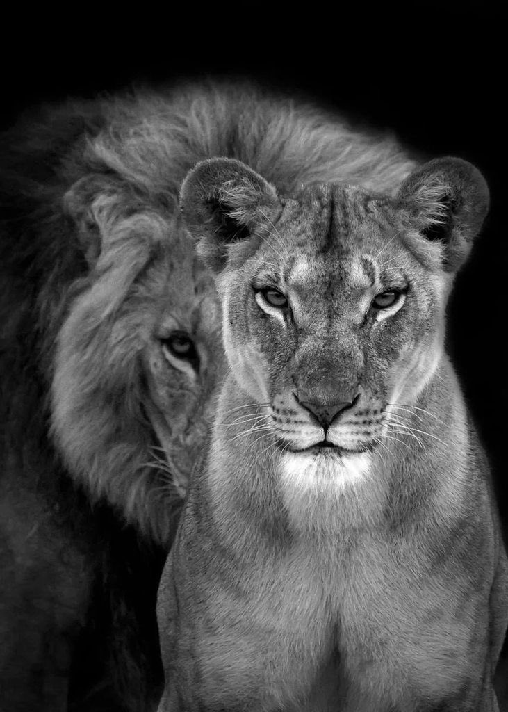 Beautiful 🖤