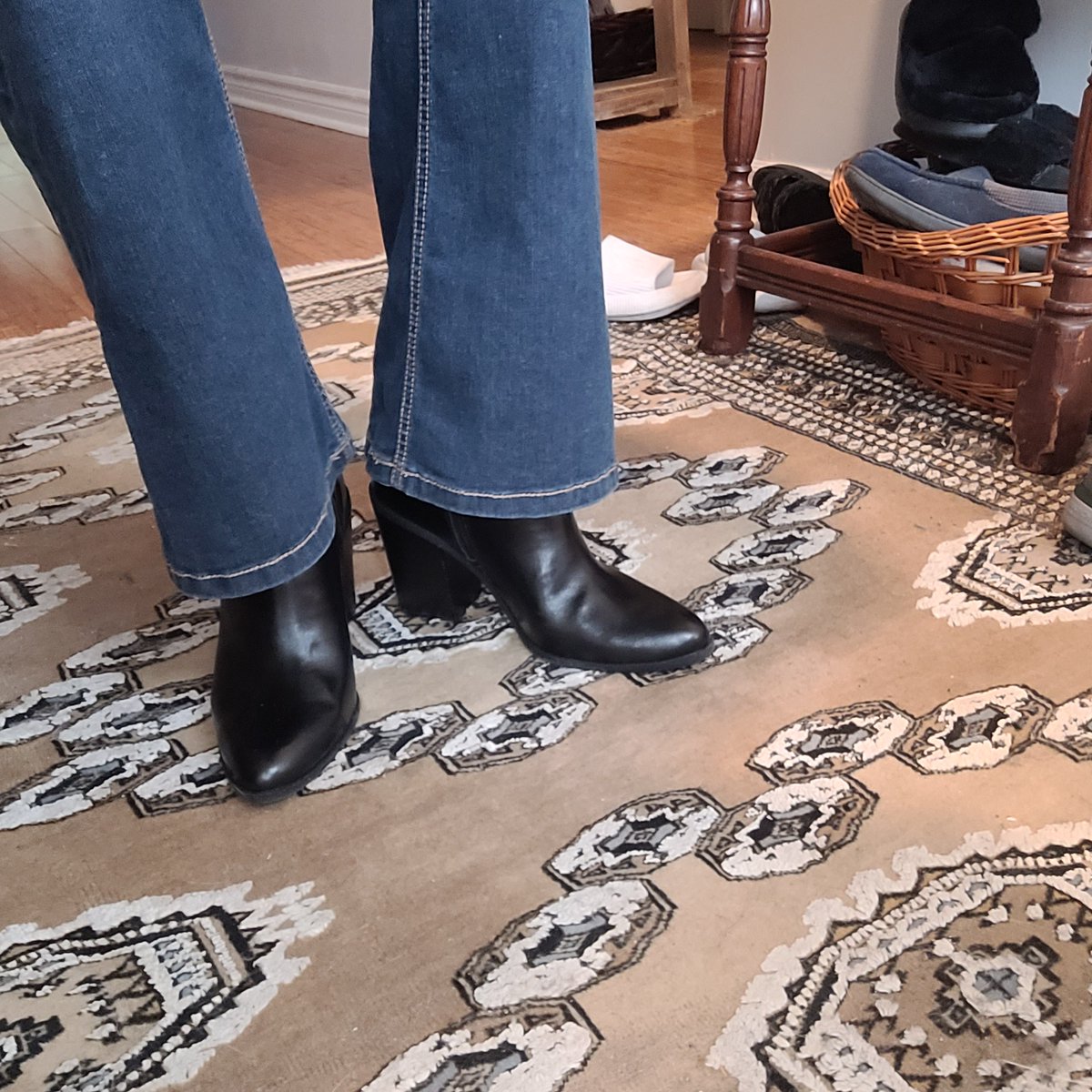 Michelle B ❤️ 🍁 tweet media