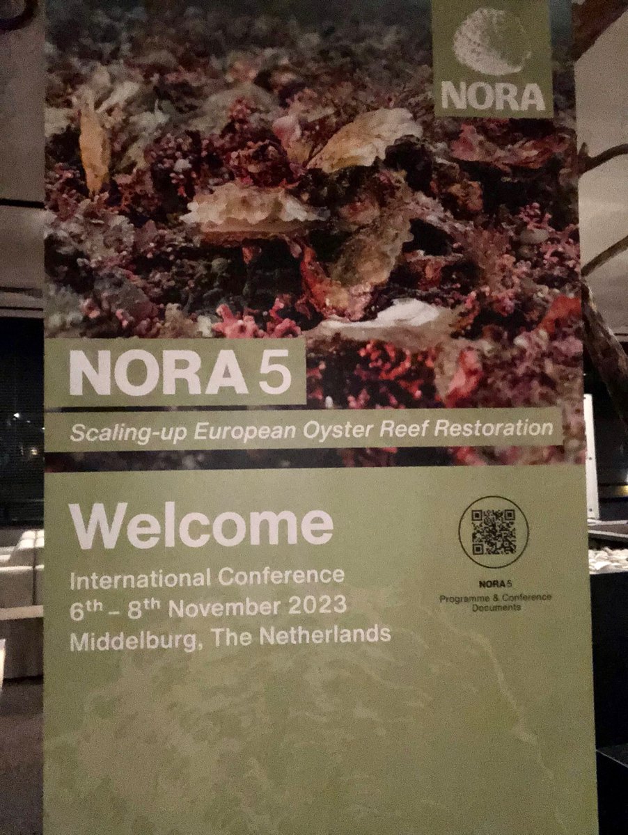 It’s exciting to be back at #NORA5 and finally in person! So many inspiring talks and discussions, and lots of amazing research projects and results. Fantastic effort to scale up #restoration! Come and check my poster out (n29) on the #circadian rhythmicity of #oyster #filtration