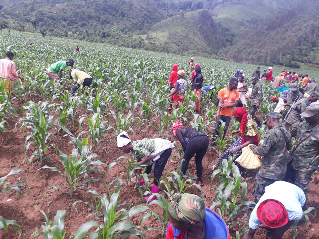 #TUJYANEMO.Uyu munsi mu Murenge wa <a href="/bweyeyesector/">Bweyeyesector</a> .Abaturage bashimye byimazeyo Umukuru w'igihugu udahwema kubagenera inyongeramusaruro.TUGIRE IBIRYO.
<a href="/RusiziDistrict/">Rusizi District</a> 
<a href="/RwandaWest/">Western Province I Rwanda</a> 
<a href="/LouisNdagije/">Louis Munyemanzi N</a> 
<a href="/DrKibiriga/">Dr. ANICET KIBIRIGA</a>