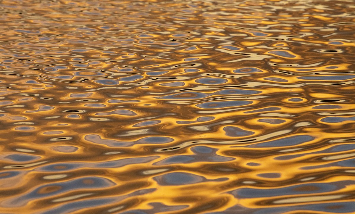 Liquid Gold Another stunning sunset at Colwick Park this evening and these reflections on the water really caught my eye..... #Colwick #Sunset
