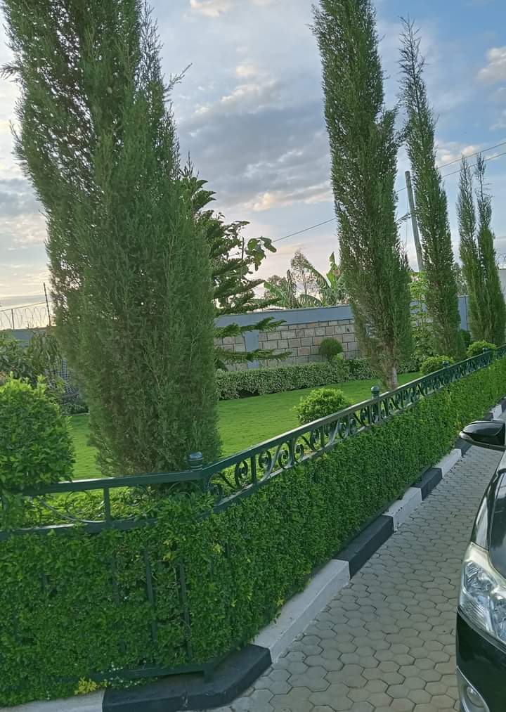 cenas_j's tweet photo. The landscaping team that worked on this one deserve a standing ovation. Do they? https://t.co/s7WyuwdoTq
