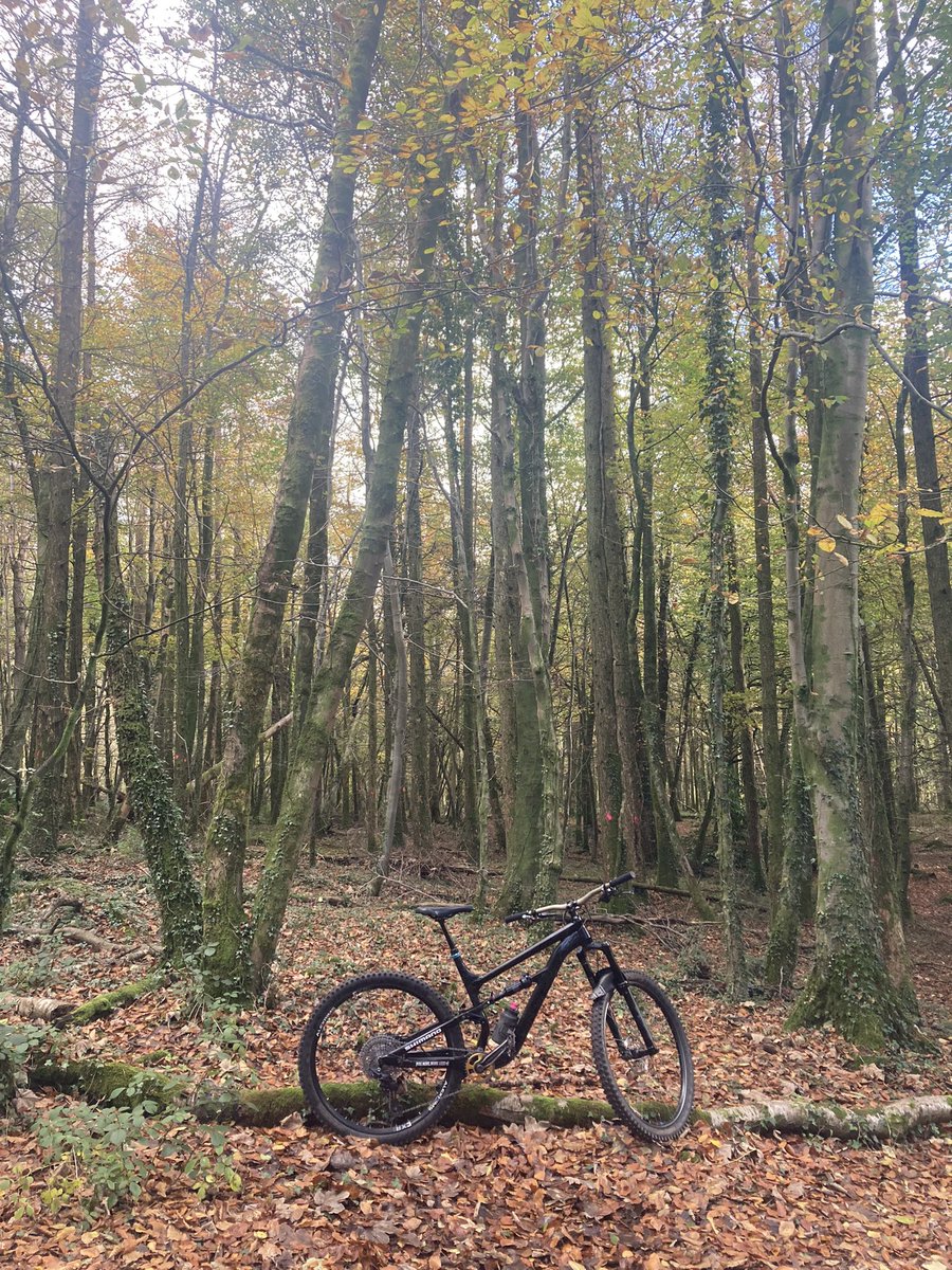Bit of dry so hit the trails of forest fawr and ganol ✌️💙 #Absoulatemtb1 #lovewhereyoulive #walesneverfails 🏴󠁧󠁢󠁷󠁬󠁳󠁿🏴󠁧󠁢󠁷󠁬󠁳󠁿🏴󠁧󠁢󠁷󠁬󠁳󠁿