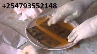 markenow68's tweet image. +254793552148..LATEST UNIVERSAL AUTOMATIC SSD SOLUTION AND ACTIVATING POWDER AVAILABLE