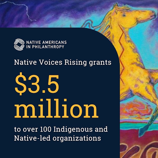 Native Voices Rising, a community-driven partnership between NAP and Common Counsel Foundation, will be granting $3,519,000  to over 100 #Indigenous and Native-led advocacy &amp; organizing groups. Learn more about the groups and how to become a donor. ➡️ NativeVoicesRising.org