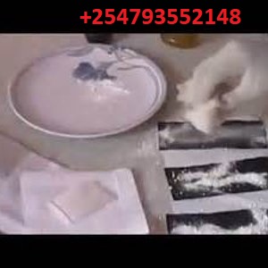 markenow68's tweet image. +254793552148...latest Automatic Universal Ssd Solution and activation powder is available