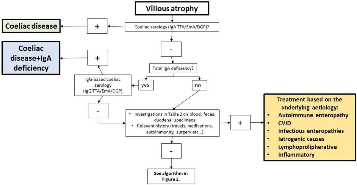 BMJOpen_Gastro's tweet photo. Listen to the #BMJOGPodcast by @ASchiepatti et al on 

"Enteropathies with villous atrophy but negative coeliac serology in adults: current issues" via

https://t.co/Hk856Ndi7a

Paper via https://t.co/Bd6rv4f5xY

@shefgastro #CoeliacDisease https://t.co/4oje4tDkGe
