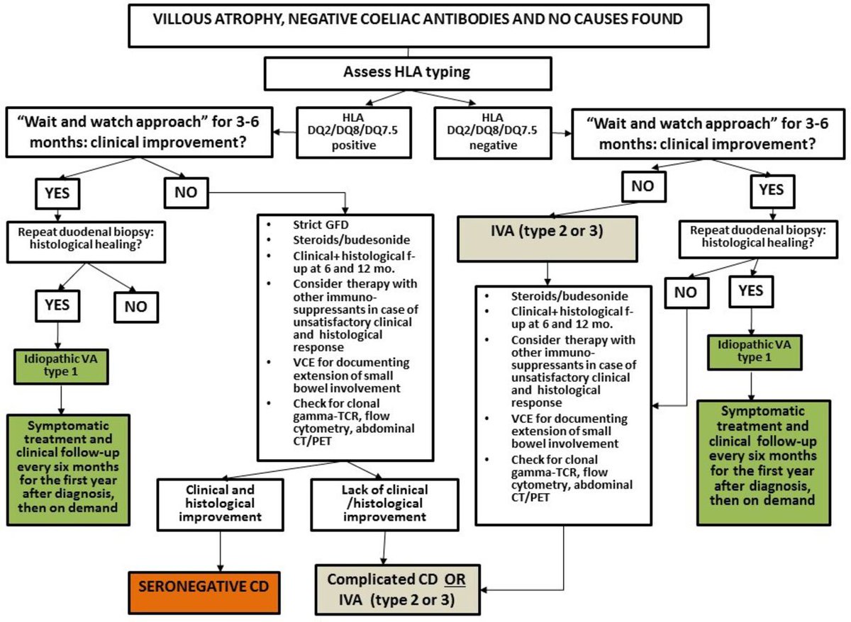 BMJOpen_Gastro's tweet photo. Listen to the #BMJOGPodcast by @ASchiepatti et al on 

"Enteropathies with villous atrophy but negative coeliac serology in adults: current issues" via

https://t.co/Hk856Ndi7a

Paper via https://t.co/Bd6rv4f5xY

@shefgastro #CoeliacDisease https://t.co/4oje4tDkGe