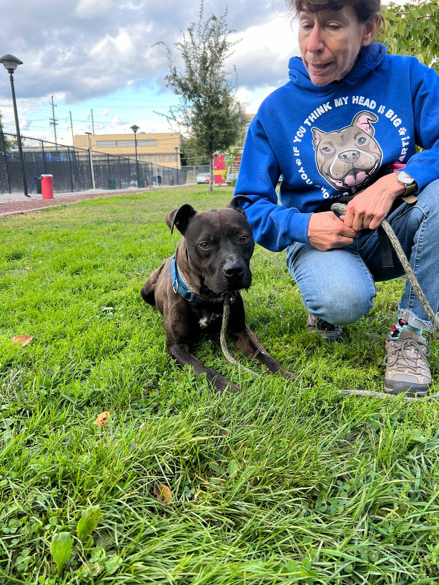 But, Smokey is resilient. He hasn't let shelter life break him. He still has a wide smile and bright eyes. And we think his heart is wide open. Now if only we could find a family that is as accepting.

Please share for our longest term resident, Smokey.