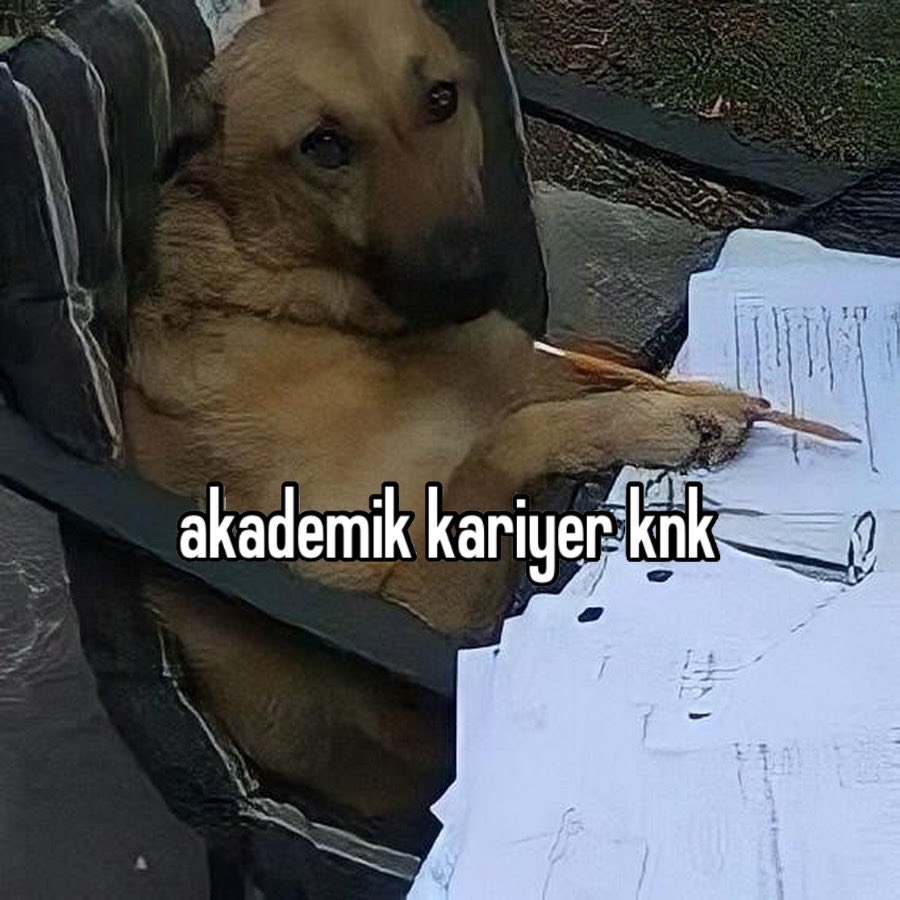 Benibrahimmm's tweet photo. https://t.co/vxNDbBRrNq