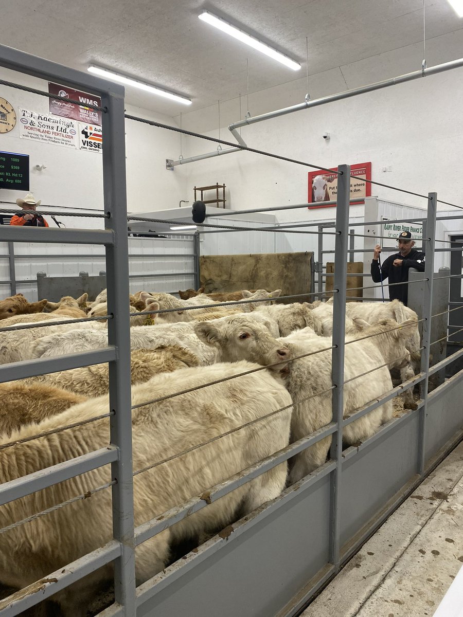 Steppler Andre tweet media