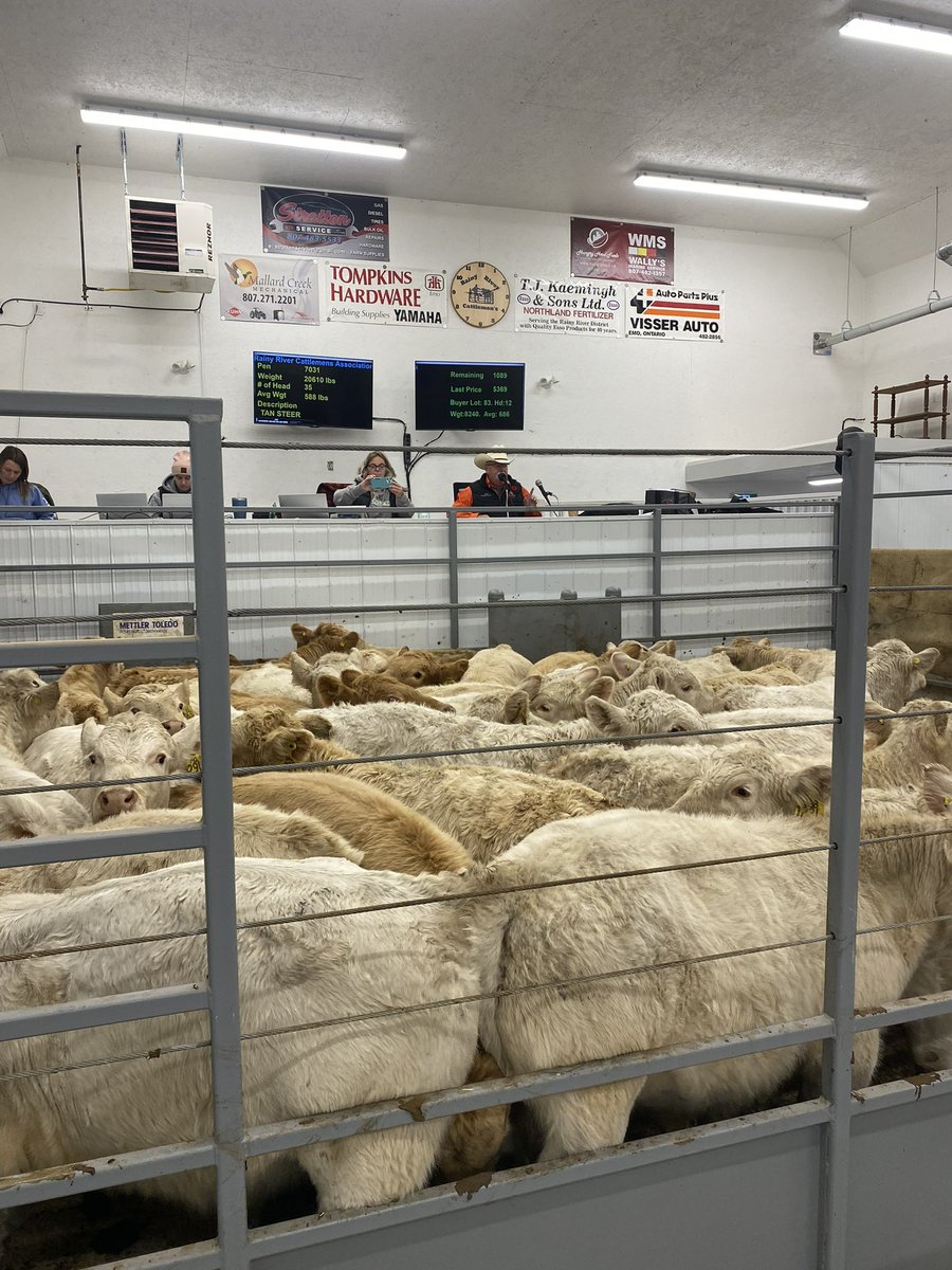 Steppler Andre tweet media