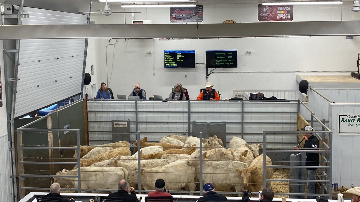 Steppler Andre tweet media