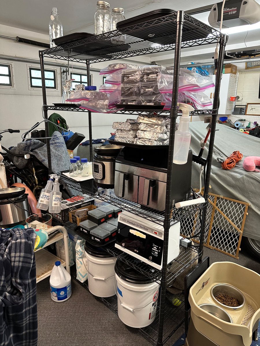 Keoni Gandall tweet media