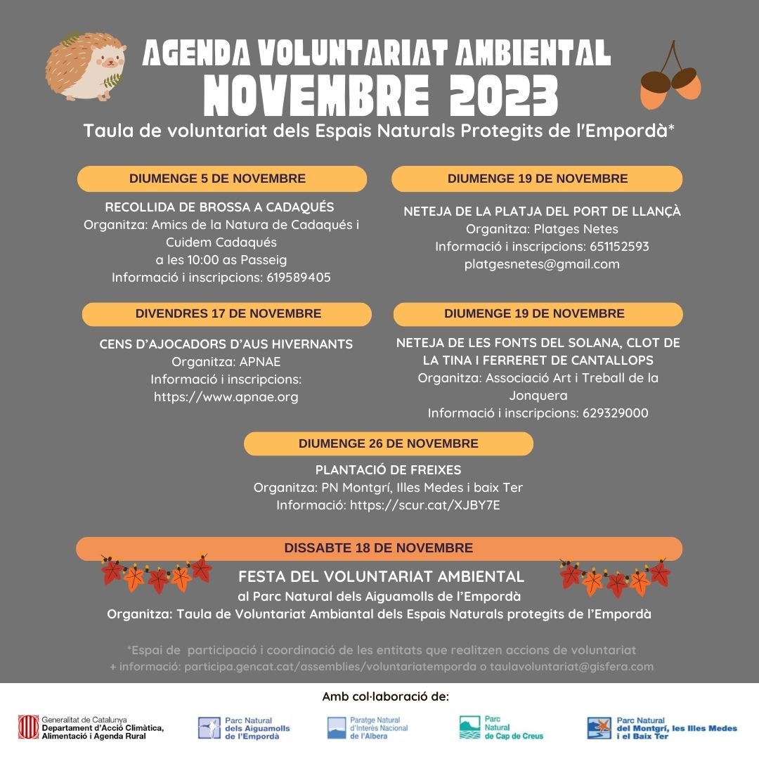 Voluntariat Ambiental tweet media