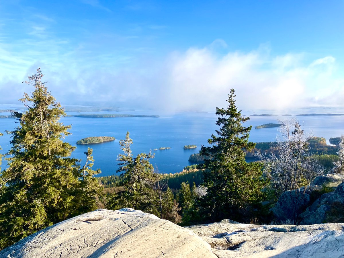 Henna Kosonen tweet media