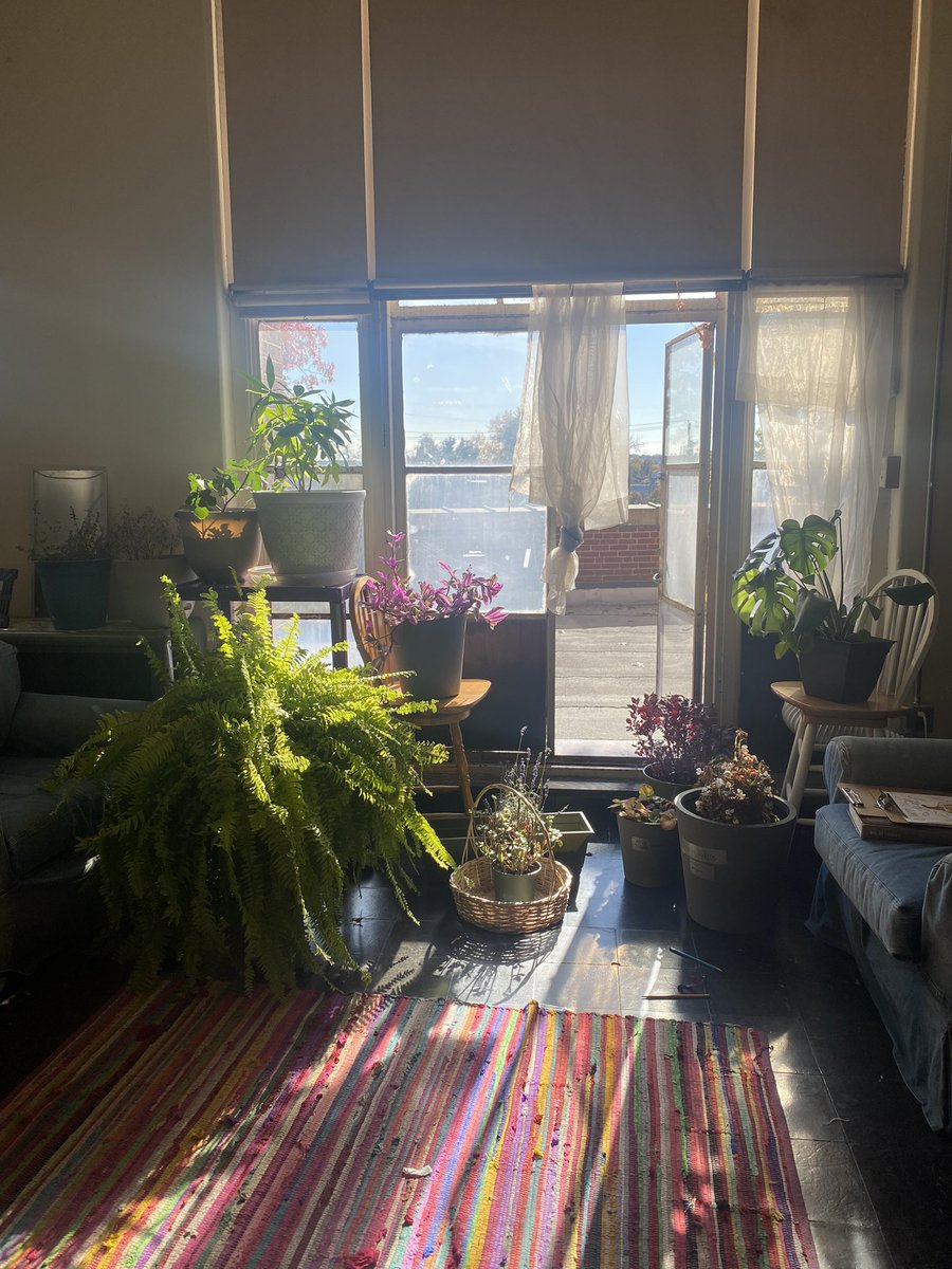 My room has become a home for our outdoor plants and it makes me so happy.