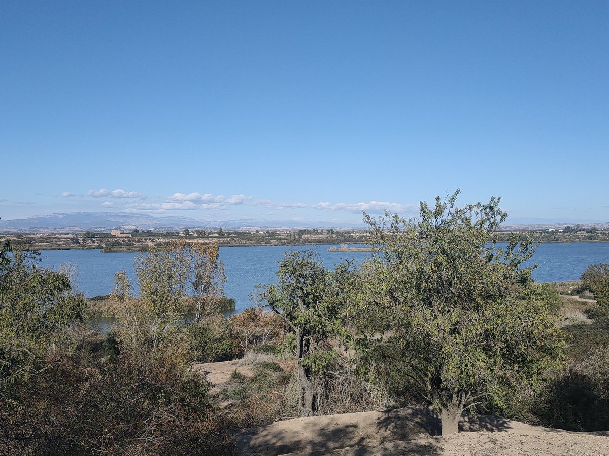 hevistunocellet's tweet photo. Avui Lleida!
#pardalejar #paisatges @aralleida #secans #ivars https://t.co/xiGwzEmkiz