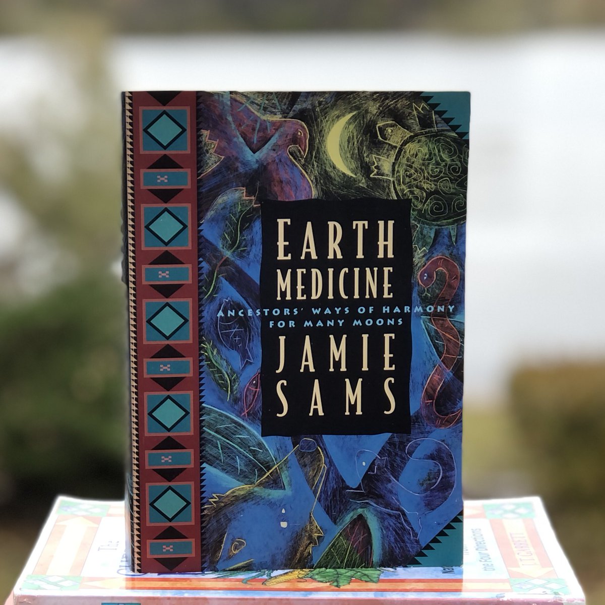 Paperbacks_Plus's tweet image. 💙💚🩵
“Earth Medicine: Ancestor's Ways of Harmony for Many Moons” by Jamie Sams (1994) 1st Edition

#EarthMedicine #Ancestors #waysofHarmony #ManyMoons #truespirit #NativeAmericanways #nativeamericanliterature #nativeamericanhistory #waysofknowing #meditations #poems #mooncycles